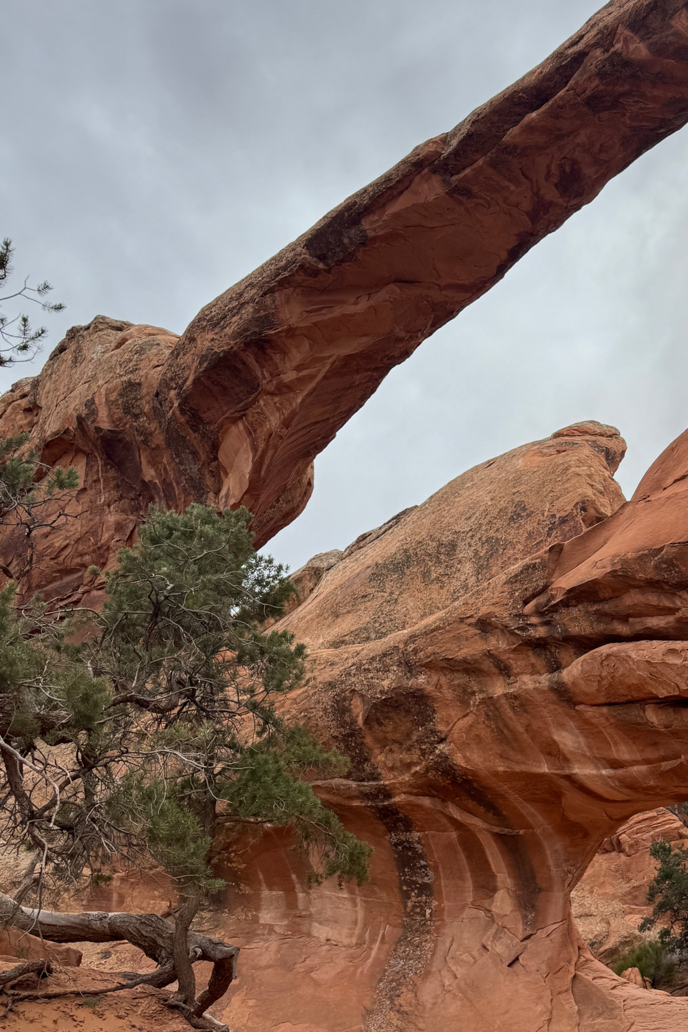 Arches National Park